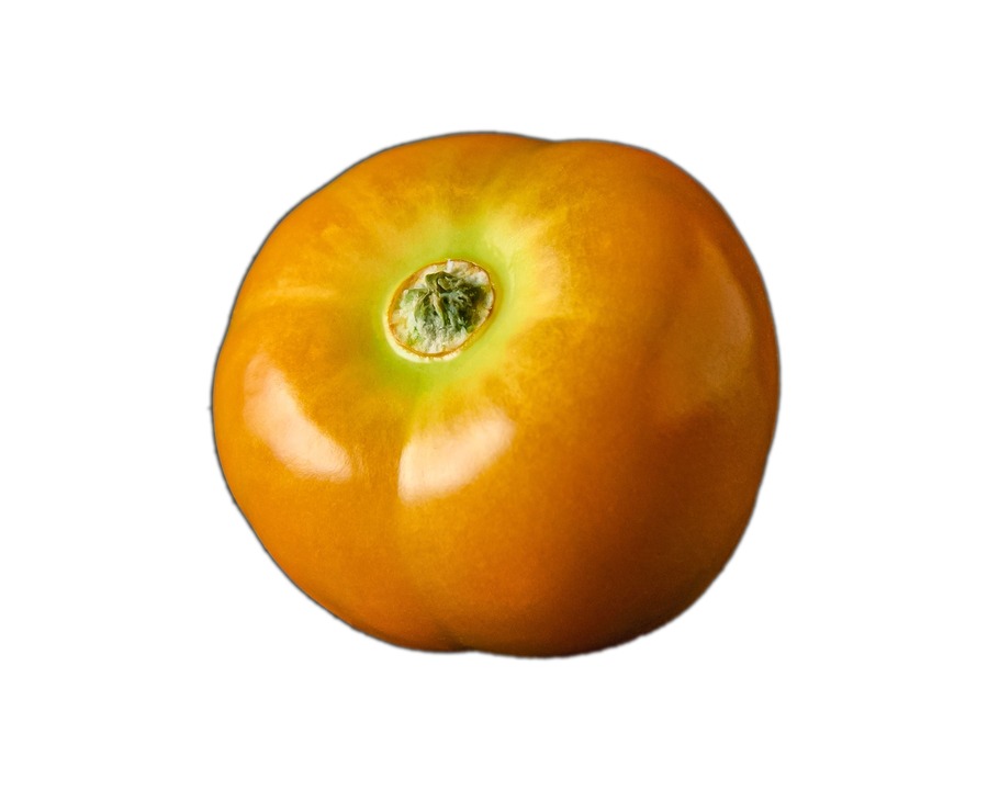 Tomate amarillo de Ibiza